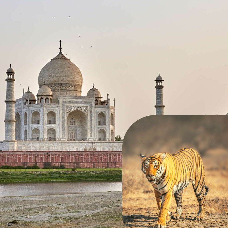 Golden Triangle Tour With Wildlife Of India
